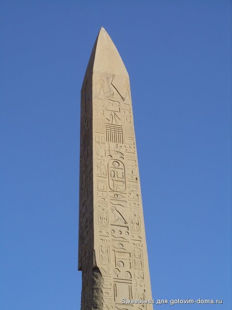 SS850995.JPG