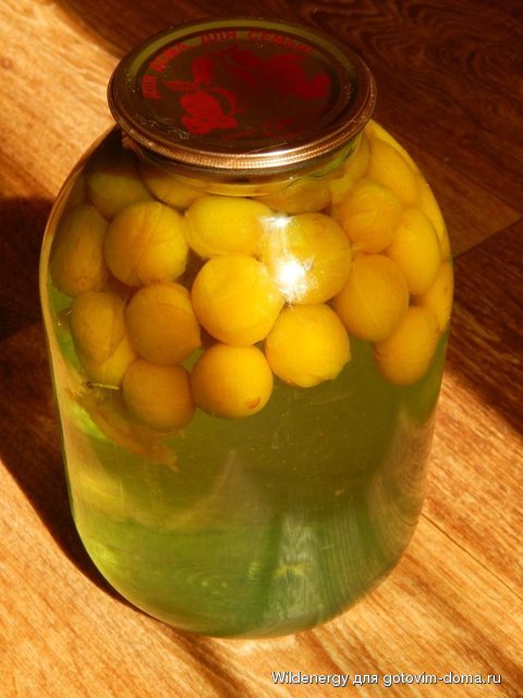 DSCN0170.jpg