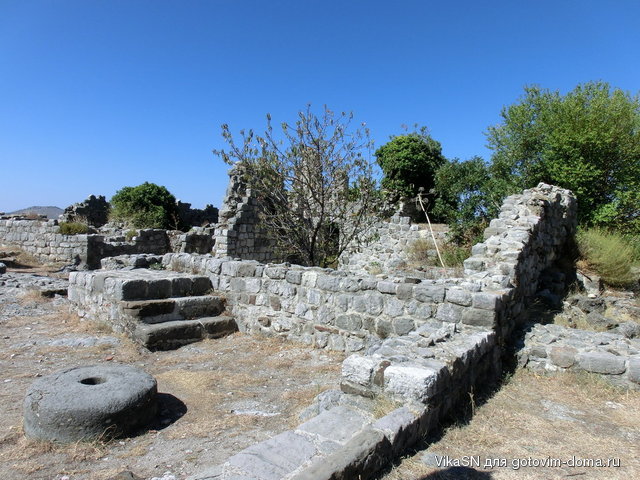 CIMG0407.jpg