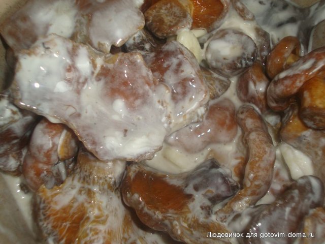 DSC00644.JPG