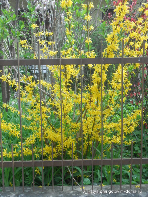 DSCN7254.JPG