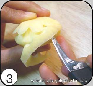 49.jpg