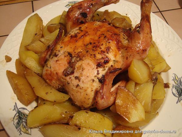 1курица с прованскими травами.JPG