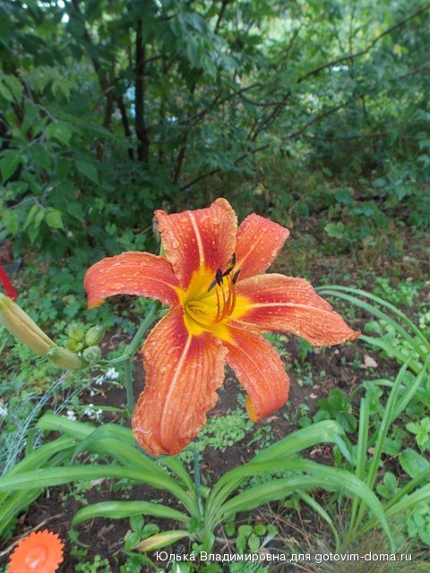 DSCN9072.jpg