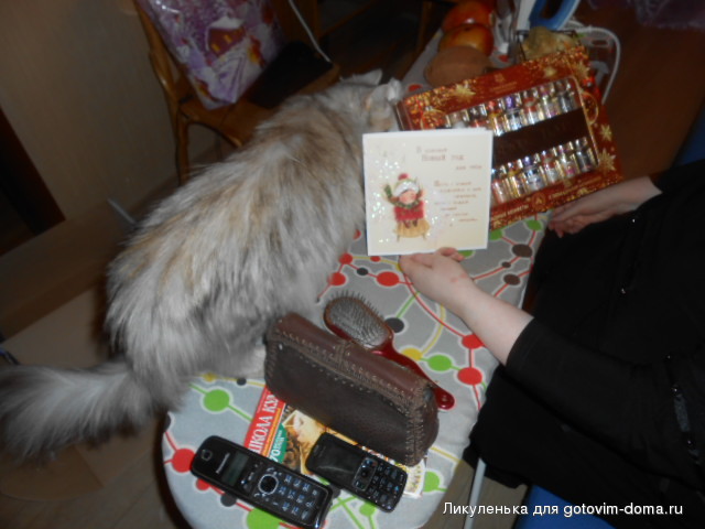 DSCN6711.JPG