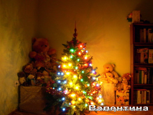 _PB150044.jpg