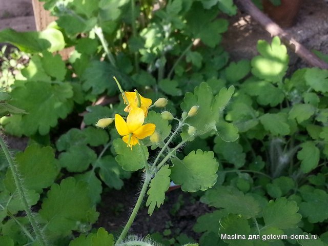 20130501_182210.jpg