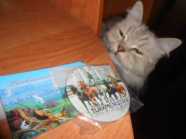 DSCN3505.JPG