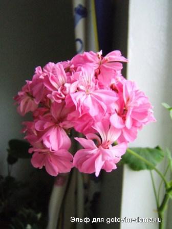 DSCF9102.JPG