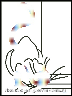 cat.jpg