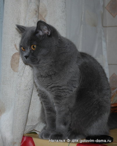DSC_0248.jpg