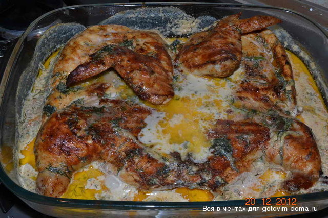 DSC_0494.jpg