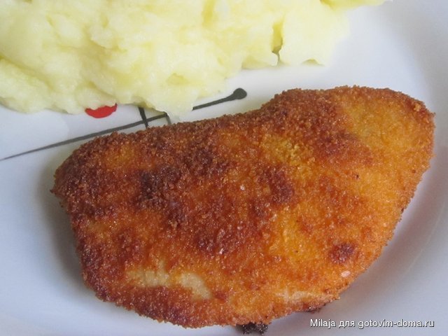 031.JPG