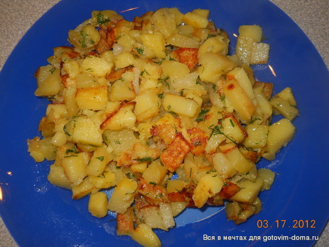 DSCN2063.jpg