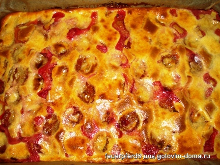 pflaumenkuchen2.jpg