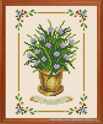 Allium.jpg