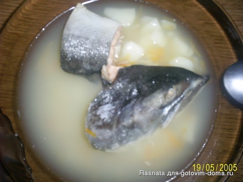 PIC_2013.JPG