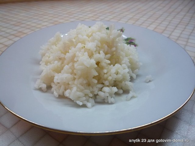P1150424.JPG