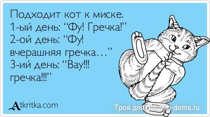 atkritka_1351783410_18.jpg