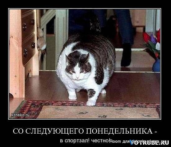 getImageCAY5SYPM.jpg