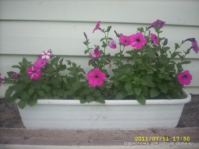 SPA50120.JPG