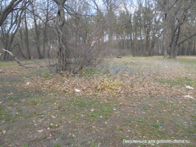 DSCN4103.JPG