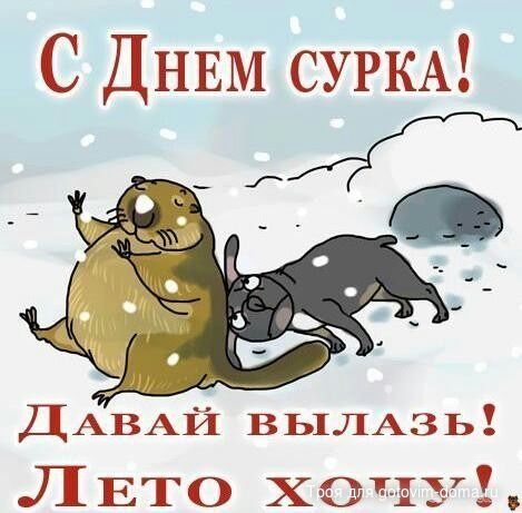 IMG-20180202-WA0004.jpg