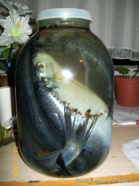 100_1780.JPG