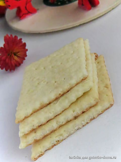 510.jpg