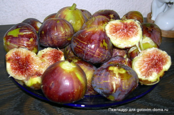 DSCN9163.JPG
