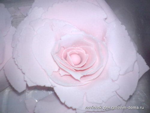 DSC01532.JPG