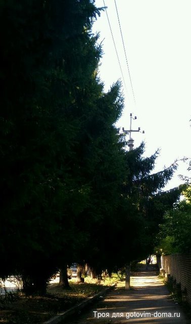 r111111ps20170807_202159.jpg