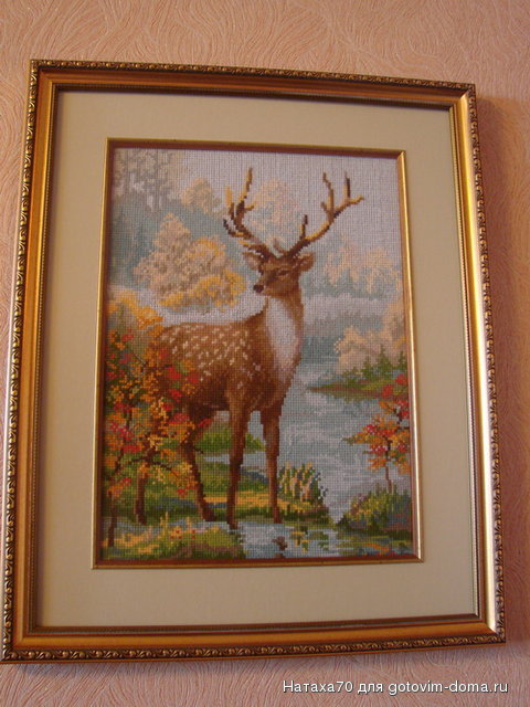 DSC05207.JPG