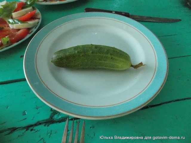 DSCN9729.jpg