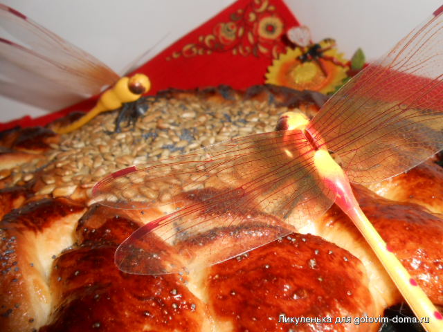 DSCN9681.JPG