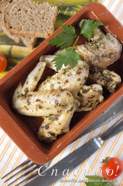 pollo sp.jpg