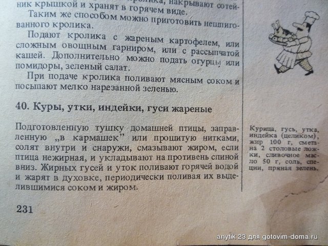 P1200555.JPG