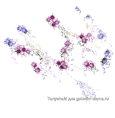 11.gif