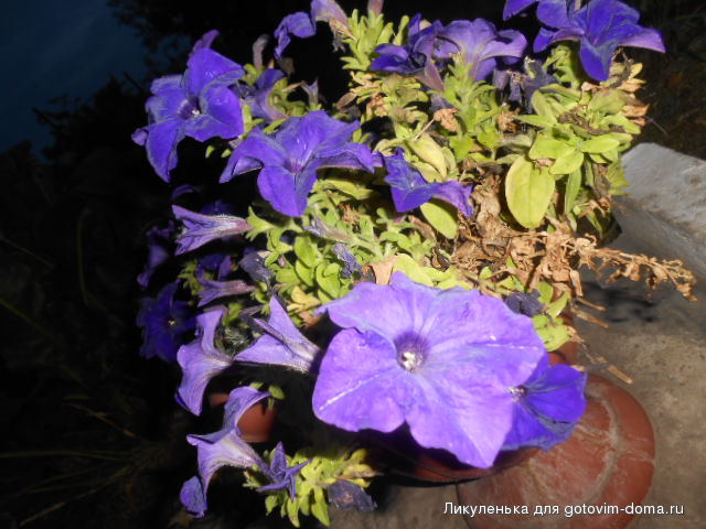 DSCN1203.JPG
