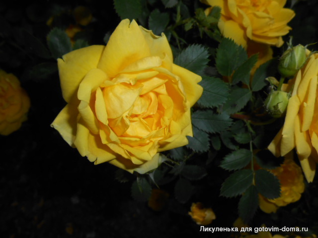 DSCN9775.JPG