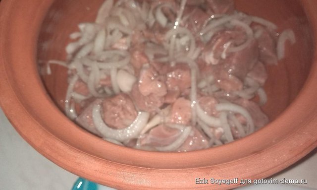 IMAG0495.jpg