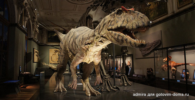 naturhistorisches-museum.jpg