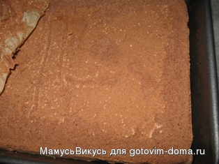 řezy 008.JPG