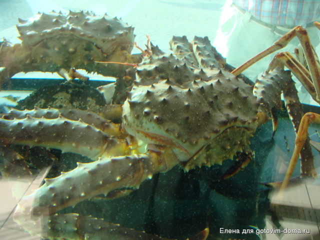 DSC01285.JPG