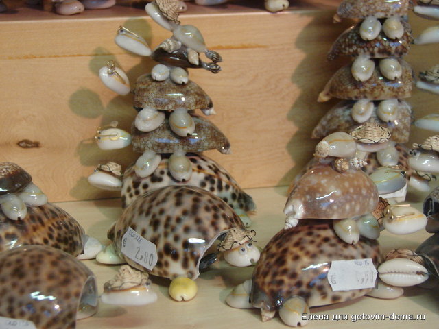 DSC00046.JPG