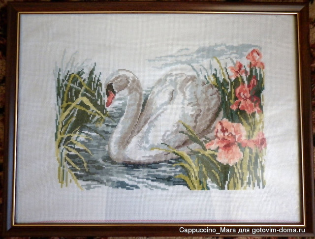 P1000877.JPG