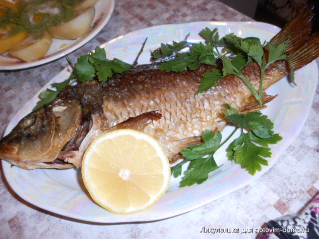 DSCN7634.JPG