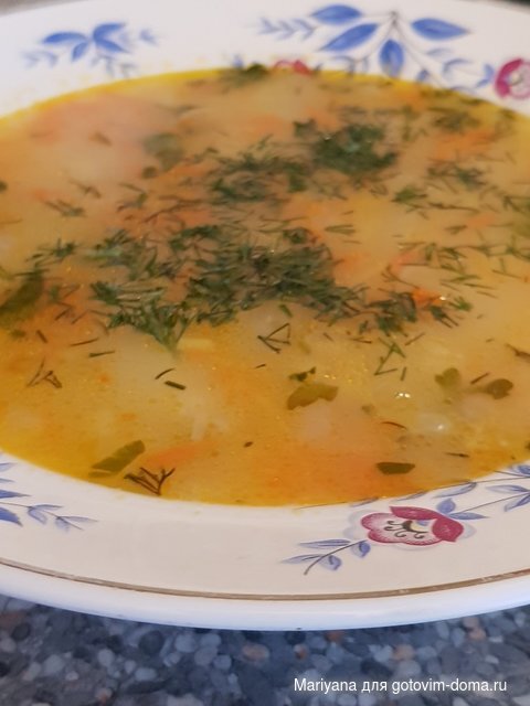 Геркулесовый суп.jpg