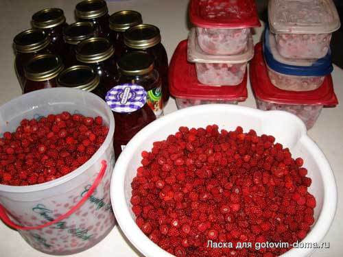 Picture-525.jpg