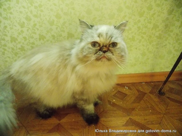 DSCN9788.jpg